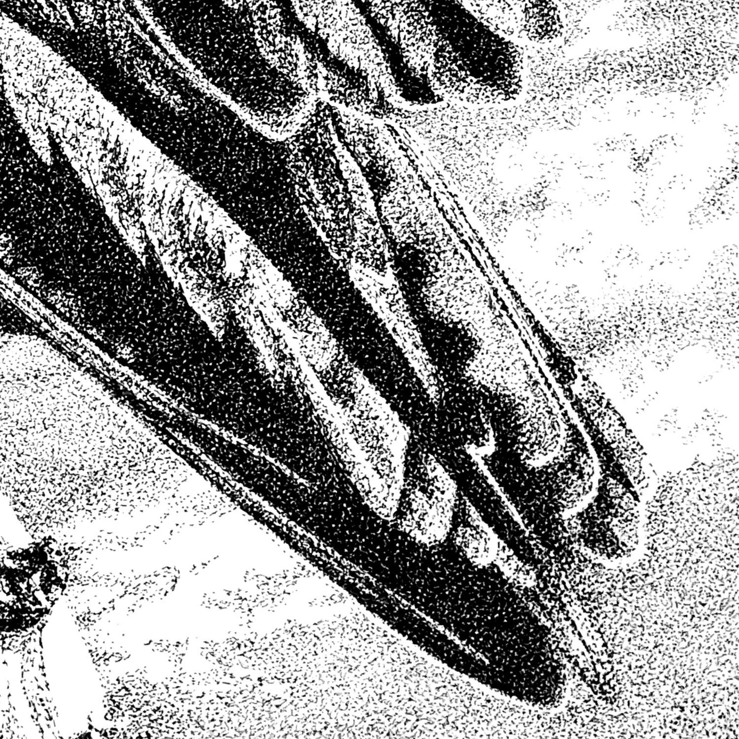 Osprey Pen Dotwork Close-up - The Thriving Wild
