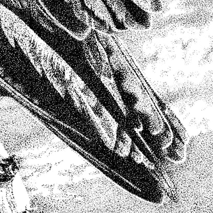 Osprey Pen Dotwork Close-up - The Thriving Wild