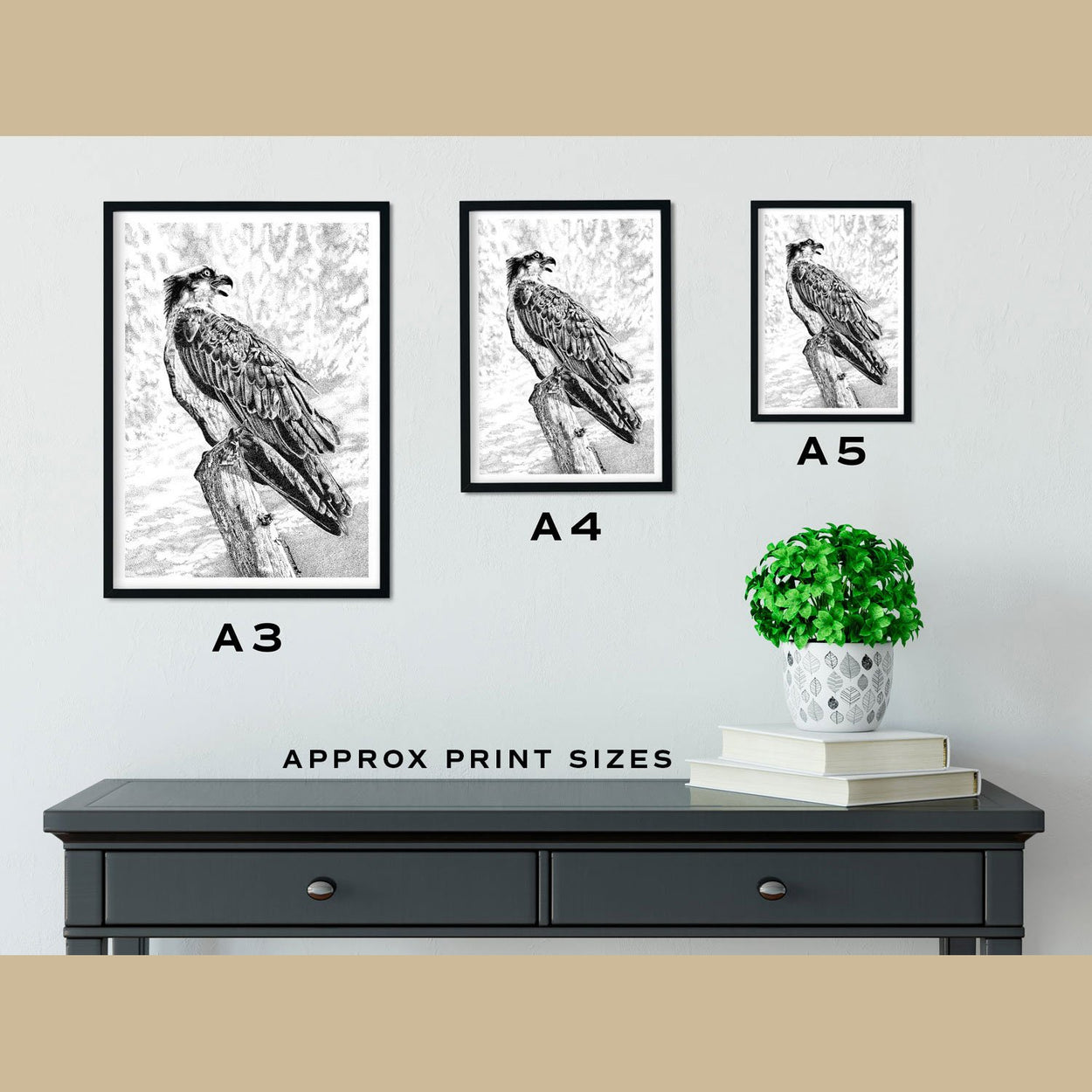 Osprey Prints Size Comparison - The Thriving Wild