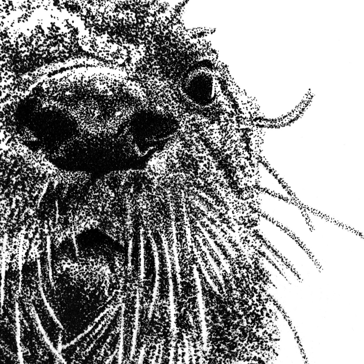 Otter Face Pen Drawing - The Thriving Wild