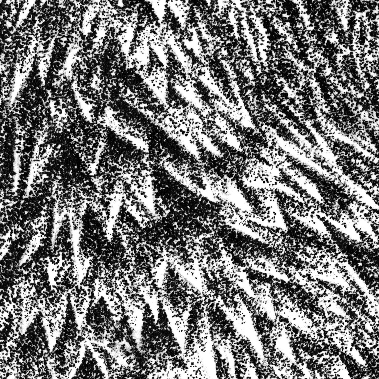 Otter Fur Pen Stippling Drawing - The Thriving Wild