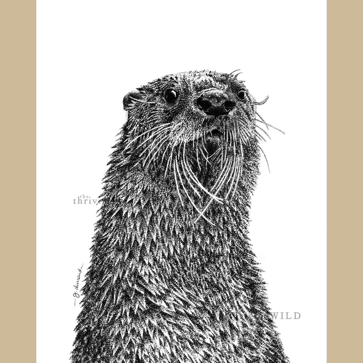 Otter Pen Stippling Drawing - The Thriving Wild