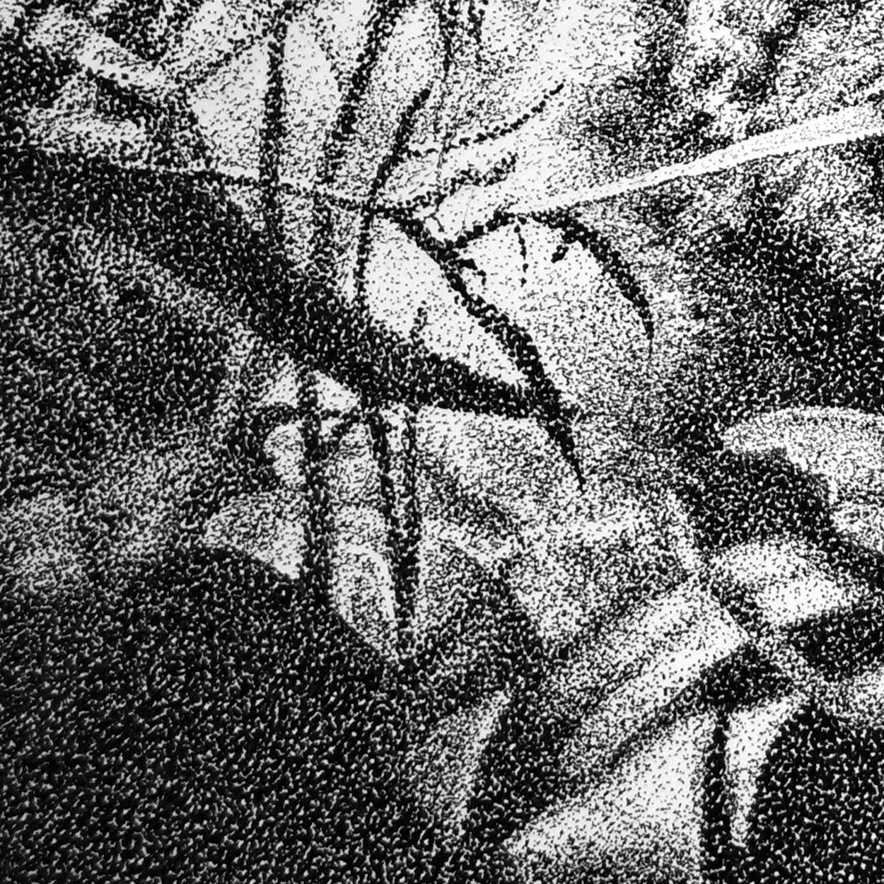 Pen Stippling Close-up - The Thriving Wild