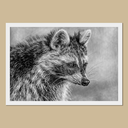 Raccoon Art Prints - The Thriving Wild