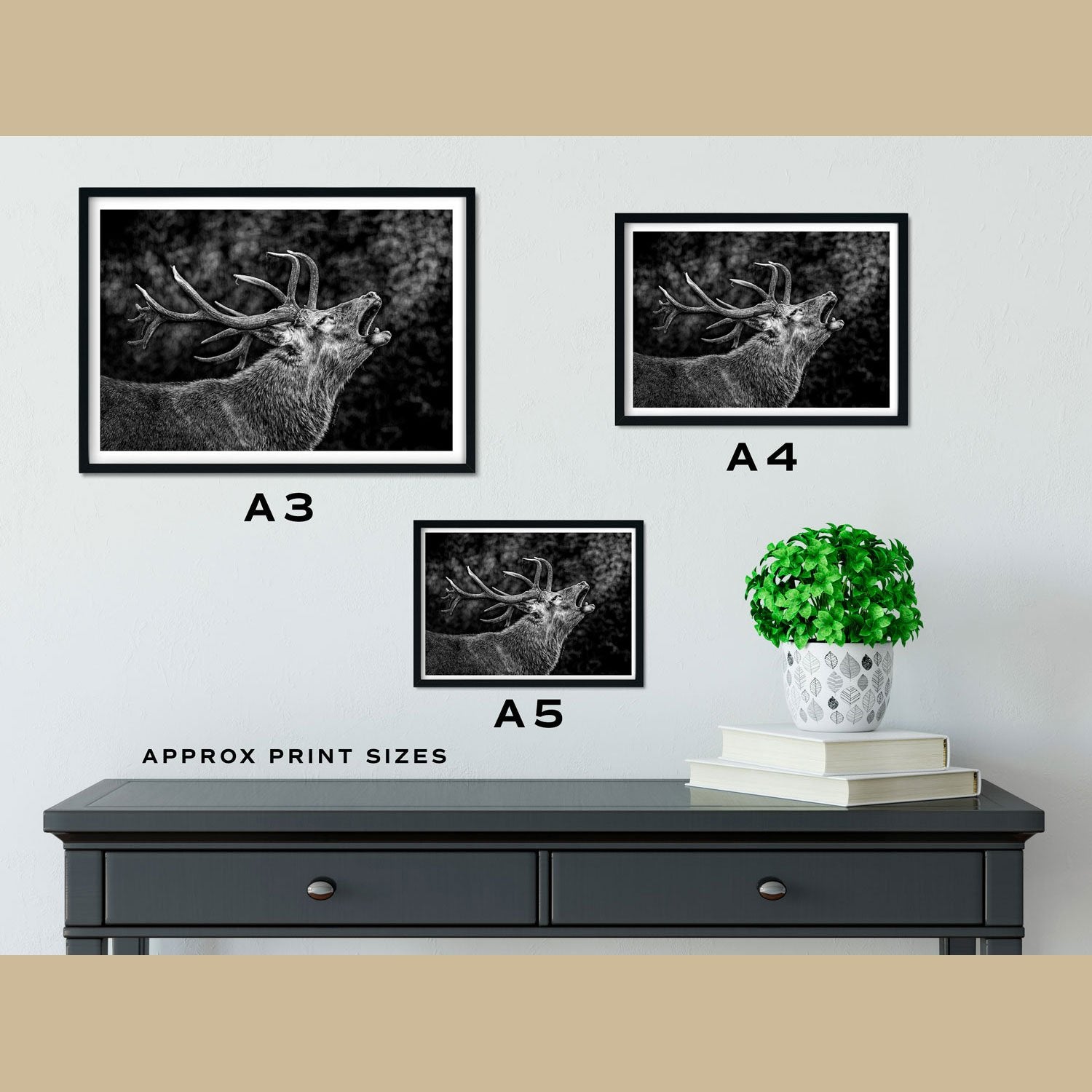 Red Deer Stag Prints Size Comparison - The Thriving Wild