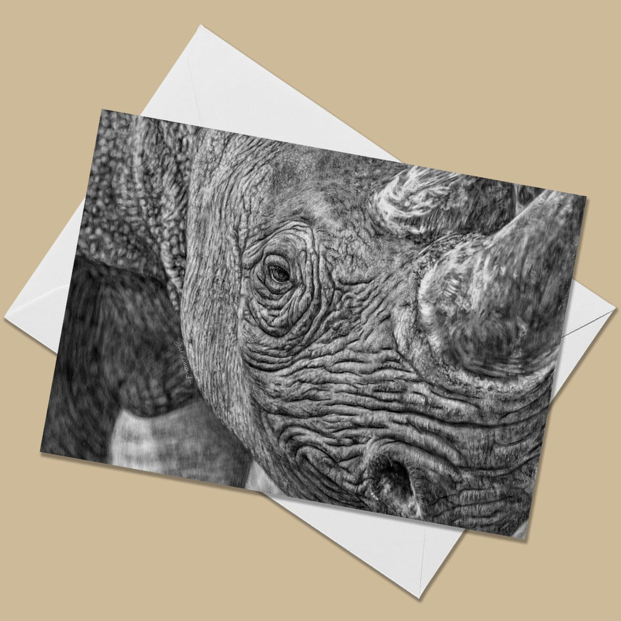 Rhino Greeting Card - The Thriving Wild
