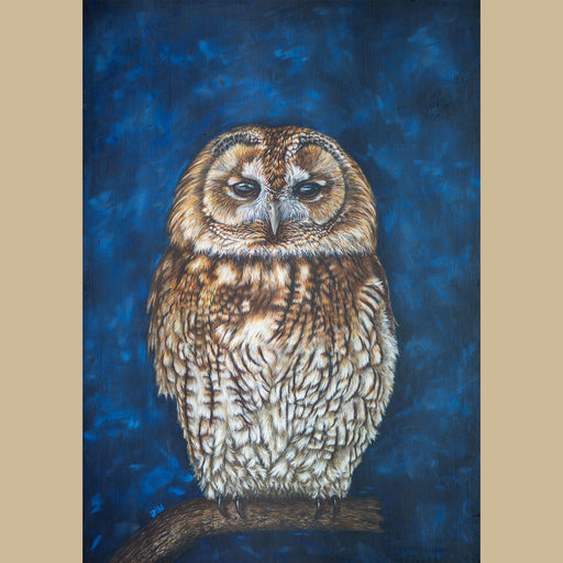 Tawny Owl Oil Painting - Strix Aluco - Jill Dimond TheThrivingWild 