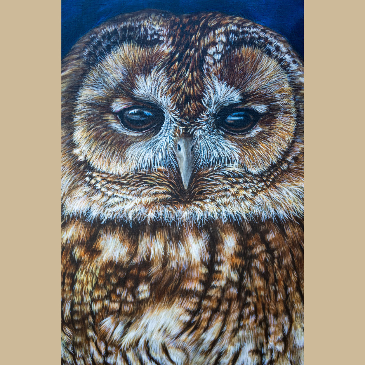Tawny Owl Painting Close-up 1 - Jill Dimond TheThrivingWild