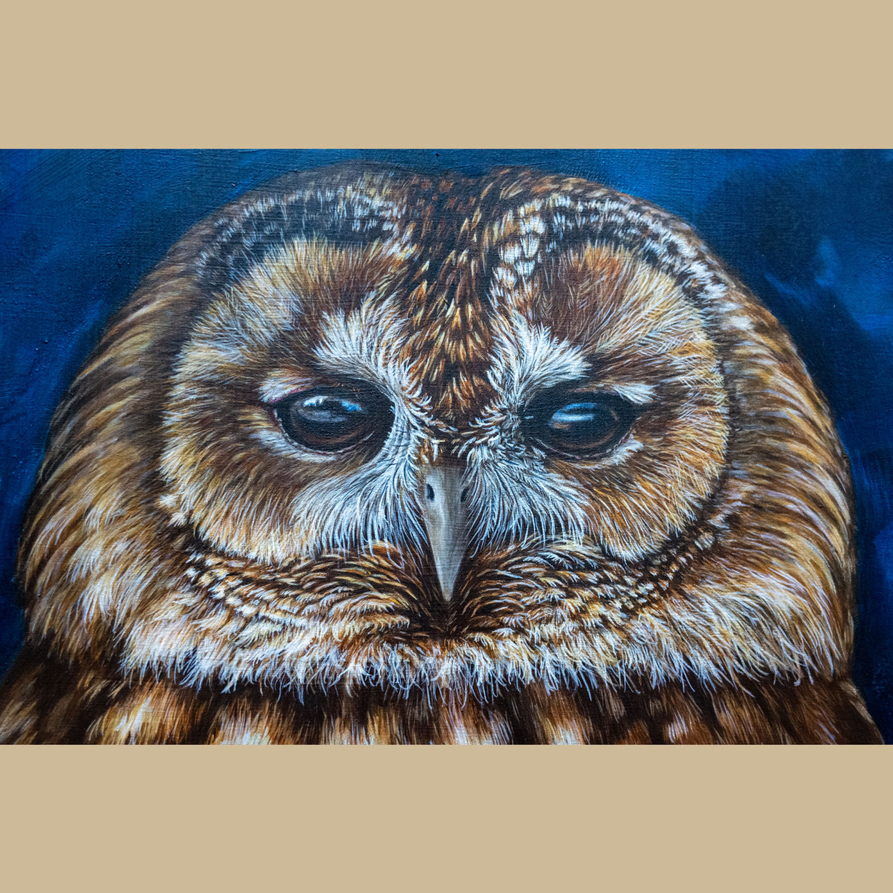 Tawny Owl Painting Closed-up 2 - Jill Dimond TheThrivingWild