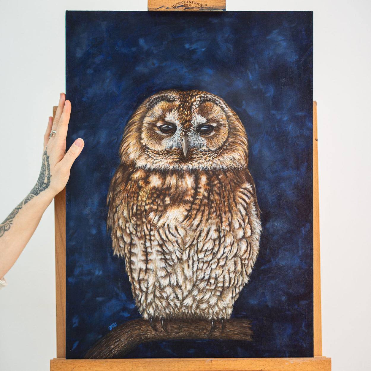 Tawny Owl Painting on Easel - Jill Dimond TheThrivingWild
