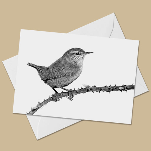 Wren Greeting Card - The Thriving Wild