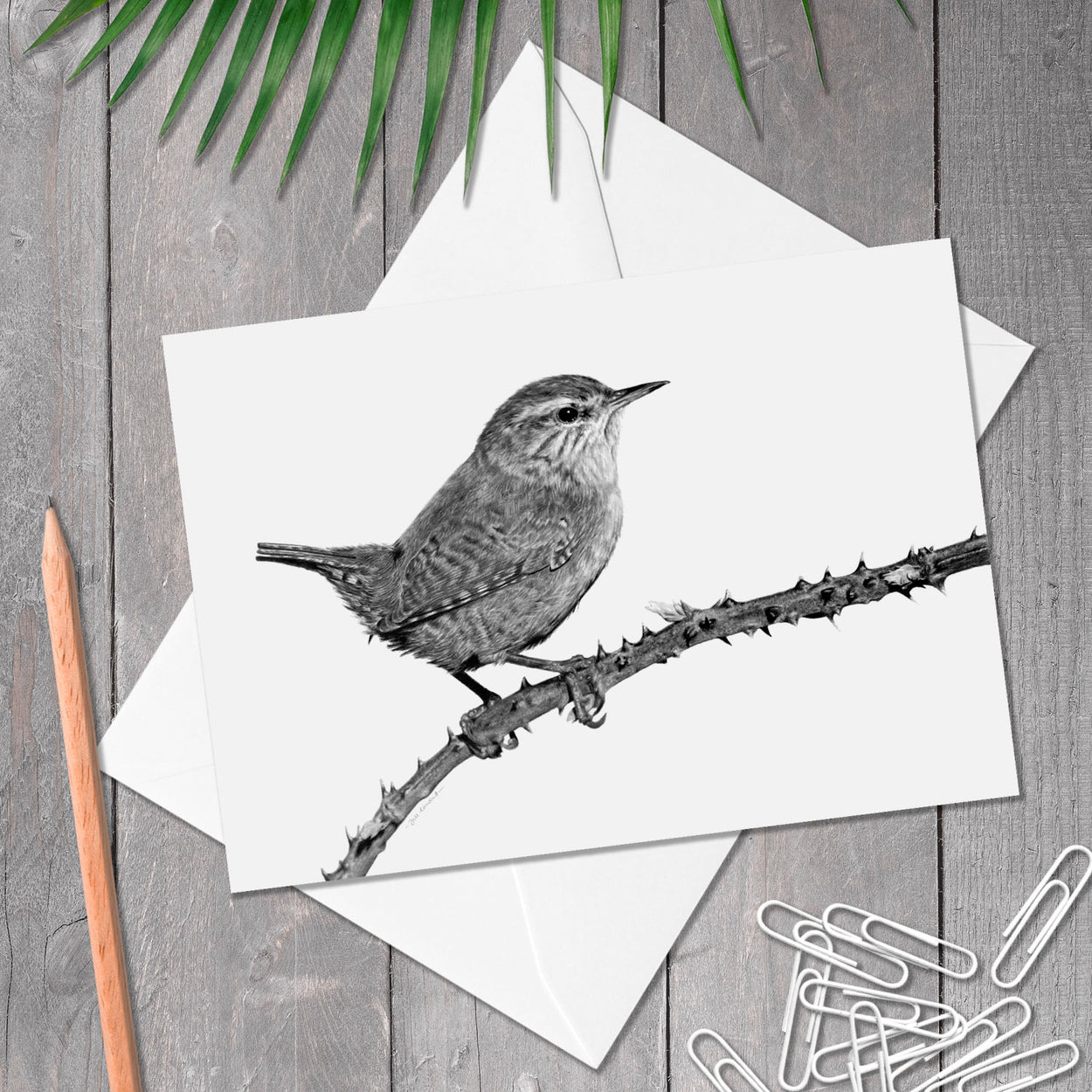 Wren Bird Birthday Card - The Thriving Wild