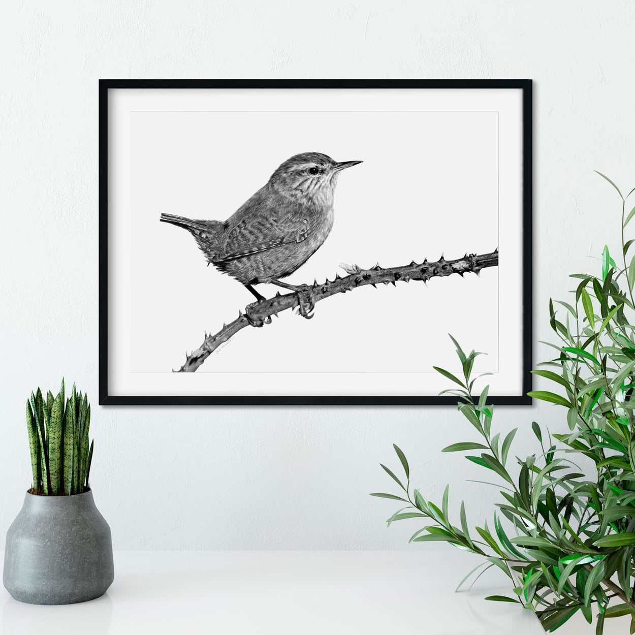 Wren Bird Drawing on Wall - The Thriving Wild