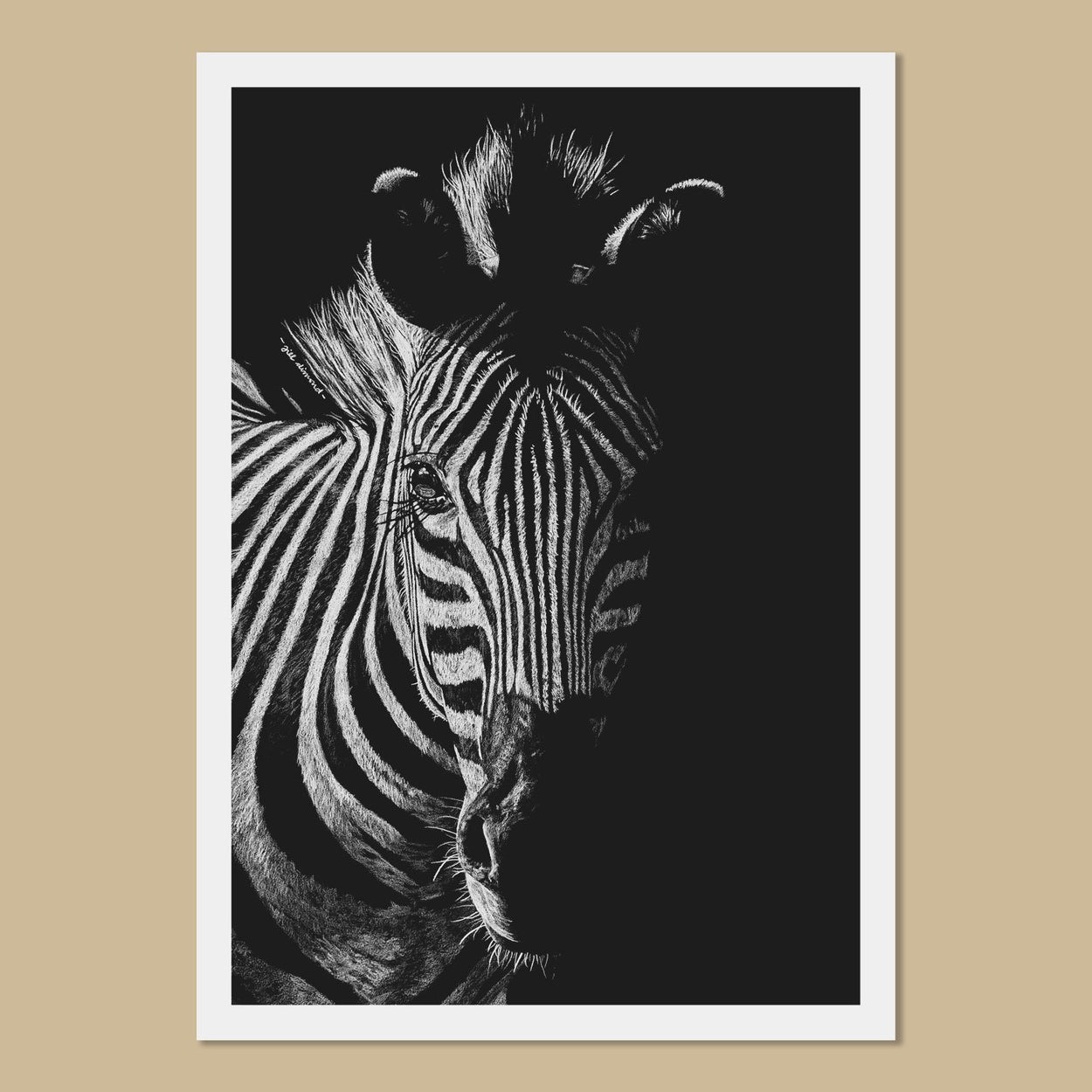Zoe the Zebra Art Prints - The Thriving Wild